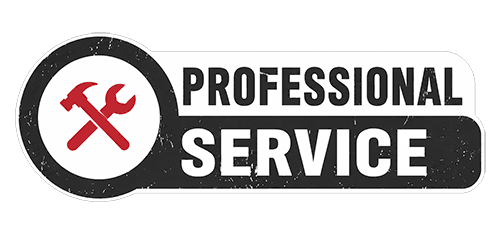 Professional Service
